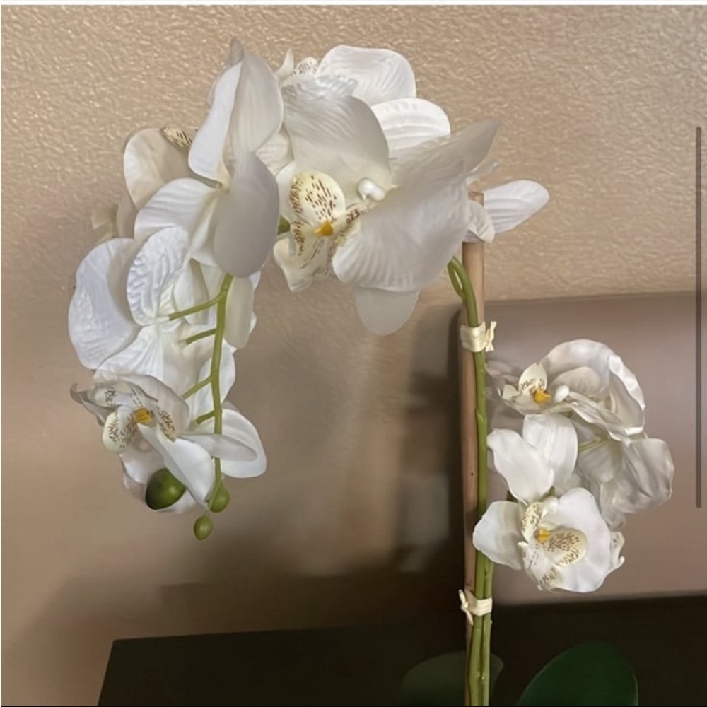 NWOT artificial white orchid in Ribbed Pot - Picture 4 of 7